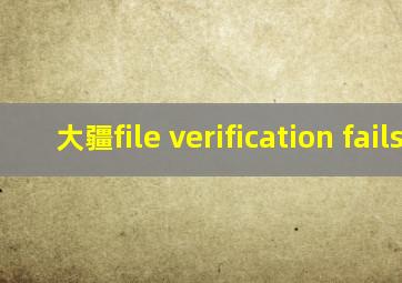 大疆file verification fails